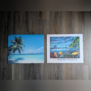 16"x20" SeaScape Posters--Two, Like New